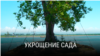 thumb_garden