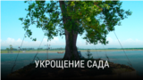 thumb_garden